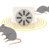 Ultrasonic Pest Control 