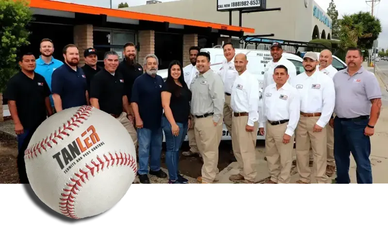 Tanler termite and pest team